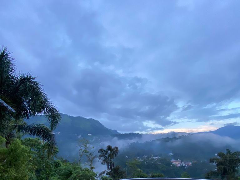 Munnar Blue Mist Bed & Breakfast エクステリア 写真