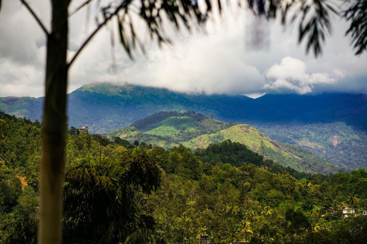 Munnar Blue Mist Bed & Breakfast エクステリア 写真