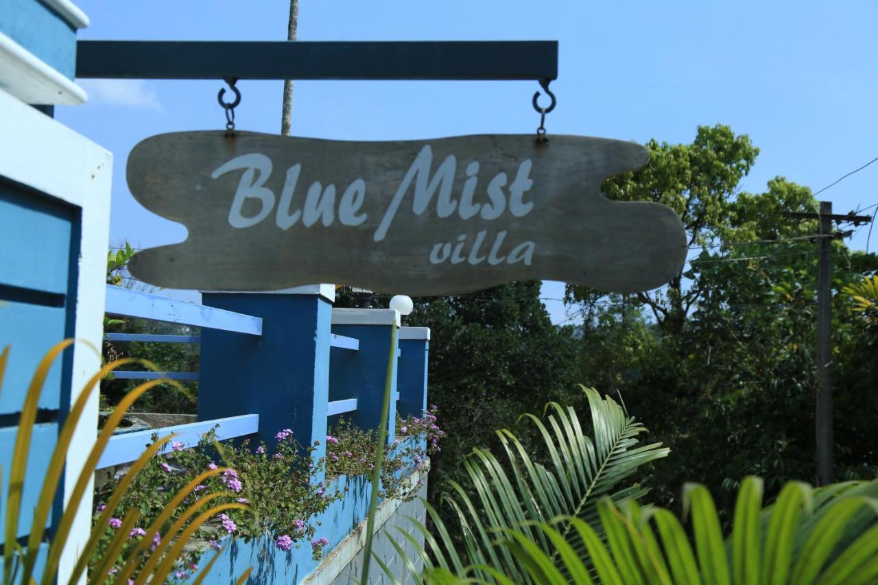 Munnar Blue Mist Bed & Breakfast エクステリア 写真
